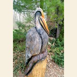 Pelican
